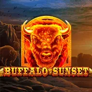 Buffalo Sunset