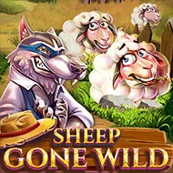 Sheep Gone Wild